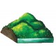 Hilly area and moist cold weather Hilly area and moist cold weather